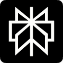 Perplexity brand mark